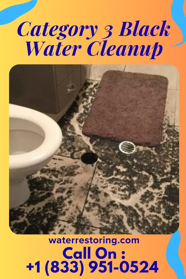 Category 3 Black Water Cleanup in Sylvan Beach, NY