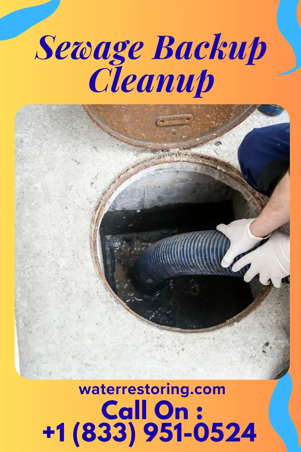 Sewage Backup Cleanup in Sylvan Beach, NY