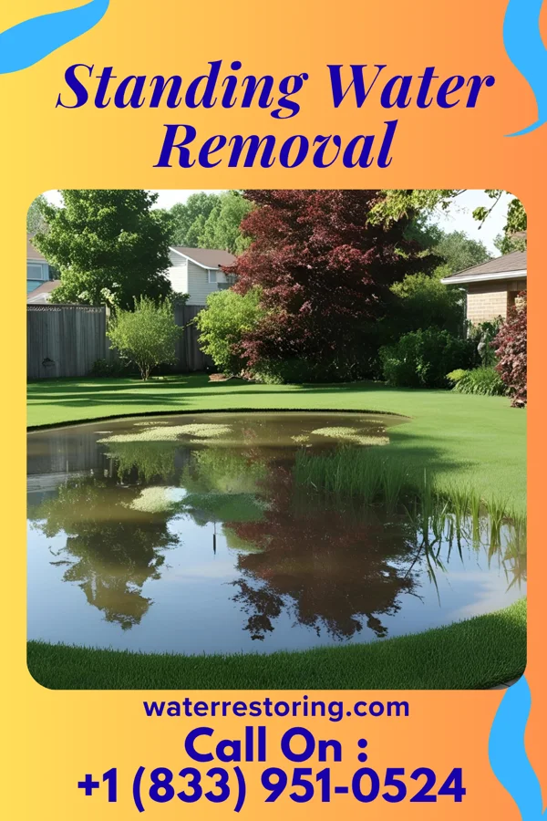 Standing Water Removal in Sylvan Beach, NY